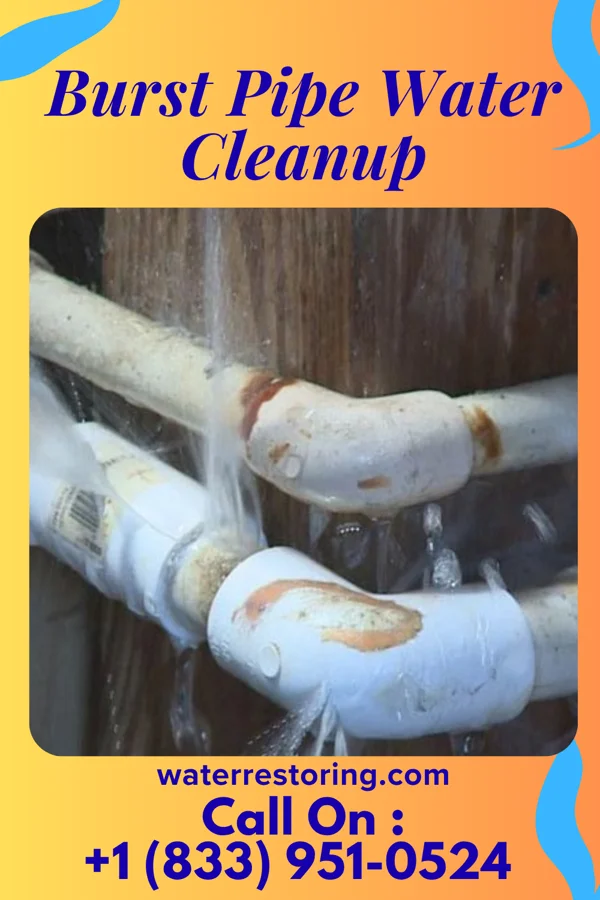 Burst Pipe Water Cleanup in Bethel, WA