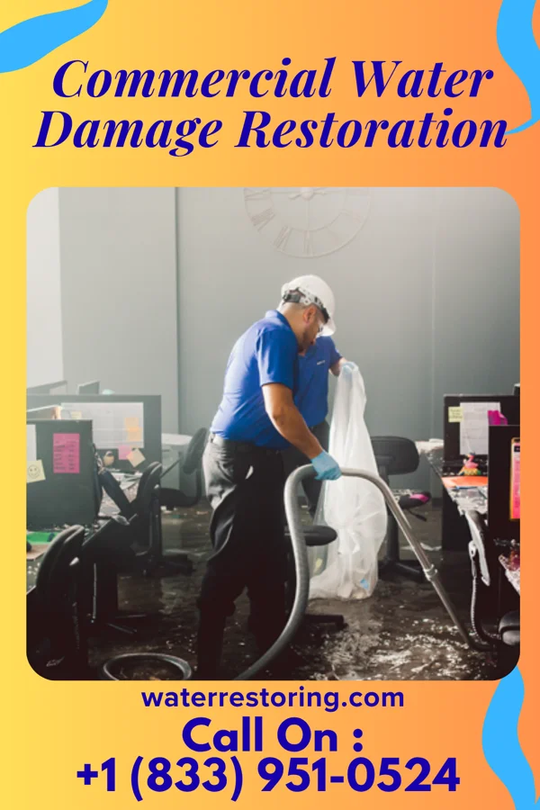 Commercial Water Damage Restoration in Bethel, WA