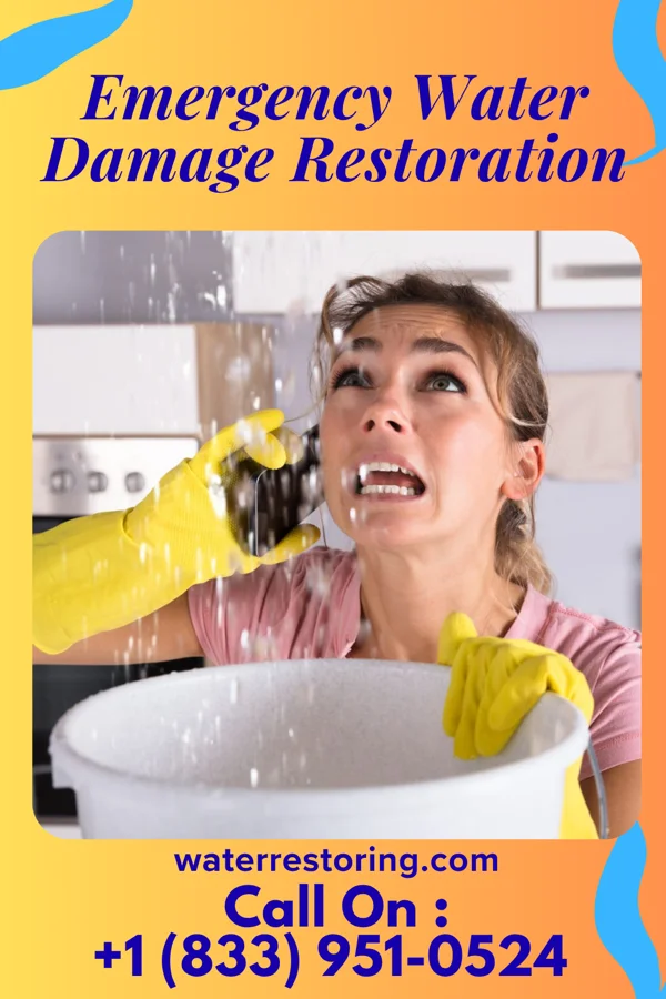 Emergency Water Damage Restoration in Bethel, WA