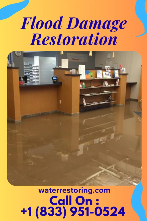 Flood Damage Restoration in Bethel, WA