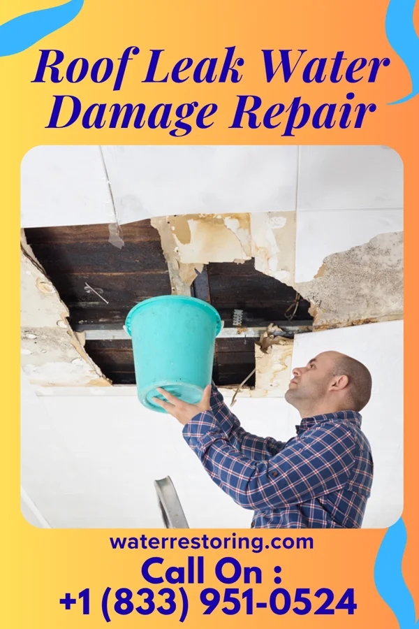 Roof Leak Water Damage Repair in Bethel, WA