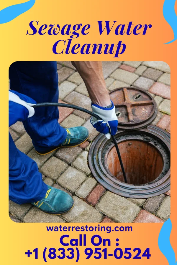 Sewage Water Cleanup in Bethel, WA